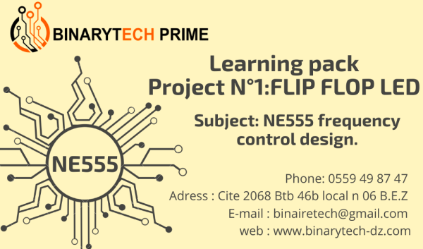 kit FLIP FLOP LED NE555 DIY project 1